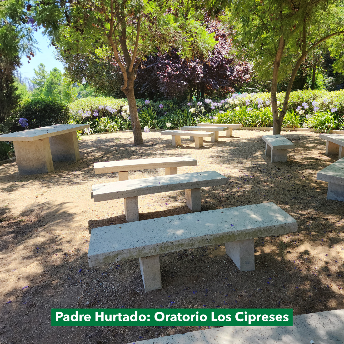 Ceremonia de los Remolinos